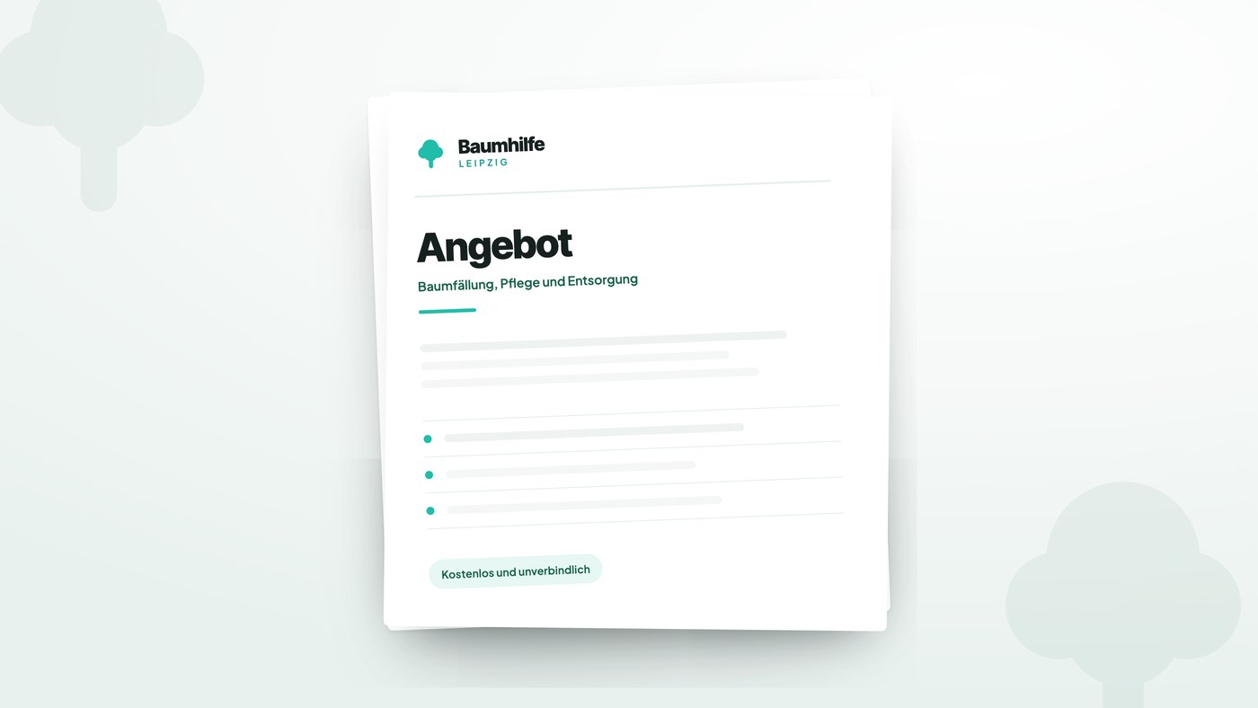Schriftliches Angebot der Baumhilfe Leipzig mit Baum-Logo im Kopf